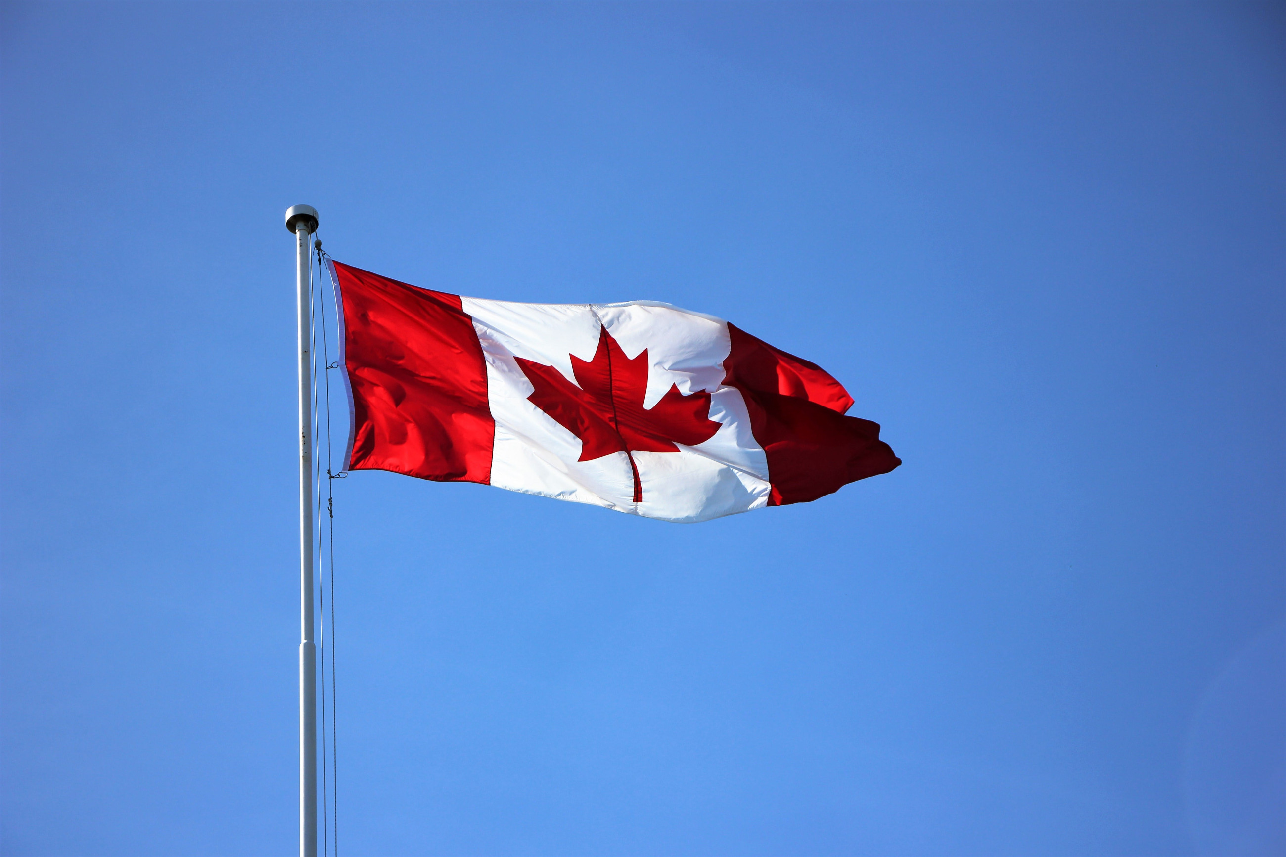 Канада планує обмежити кількість іноземних студентів: названо причину image